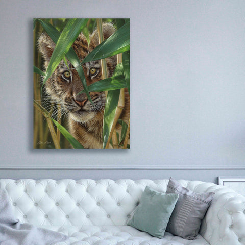 Image of 'Peekaboo' by Collin Bogle, Canvas Wall Art,40x54