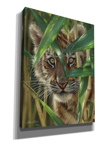 Image of 'Peekaboo' by Collin Bogle, Canvas Wall Art,Size C Portrait