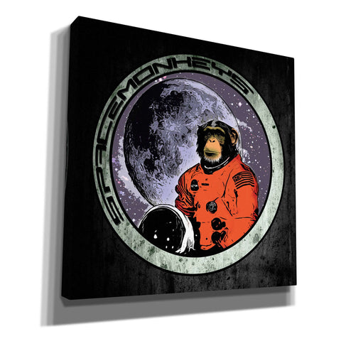 Image of "Space Monkeys" by Nicklas Gustafsson, Giclee Canvas Wall Art