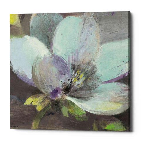 Image of 'Jump II' by Albena Hristova, Canvas Wall Art