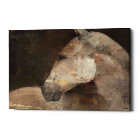 Image of 'Looking Back' by Albena Hristova, Canvas Wall Art