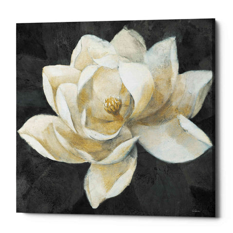Image of 'Majestic Magnolia Neutral Sq' by Albena Hristova, Canvas Wall Art