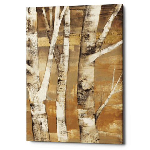Image of 'Wandering Through the Birches II' by Albena Hristova, Canvas Wall Art