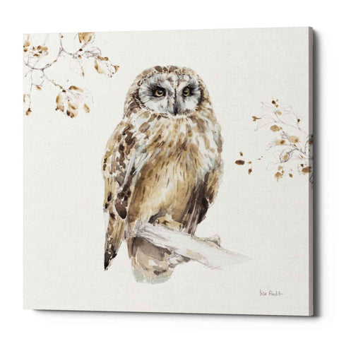 Image of 'Woodland Walk VIII' by Lisa Audit, Canvas Wall Art,