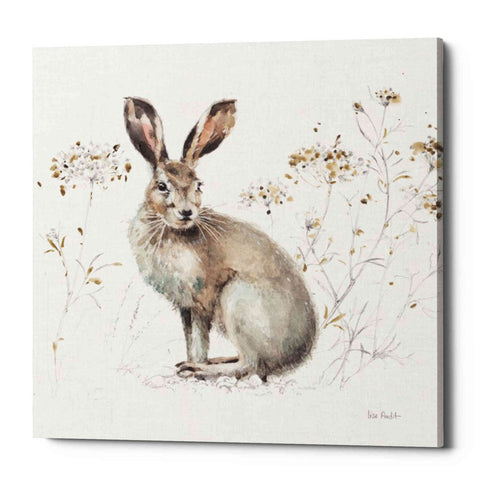 Image of 'Woodland Walk XIII' by Lisa Audit, Canvas Wall Art,