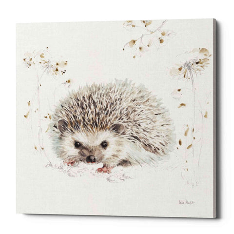 Image of 'Woodland Walk XII' by Lisa Audit, Canvas Wall Art,