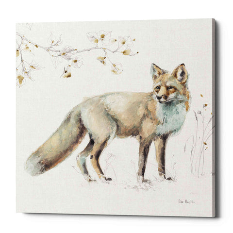 Image of 'Woodland Walk XI' by Lisa Audit, Canvas Wall Art,