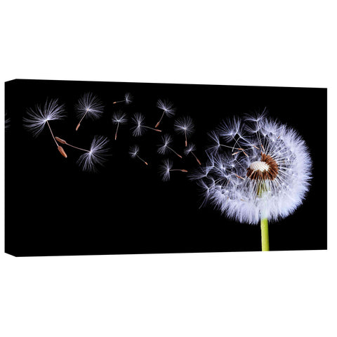 Image of 'Flying Dandelion' Canvas Wall Art