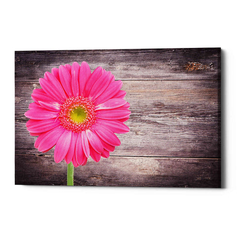 Image of 'Friendship' Canvas Wall Art