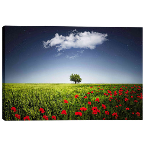 Image of 'Lone Tree in a Poppy Field' Canvas Wall Art