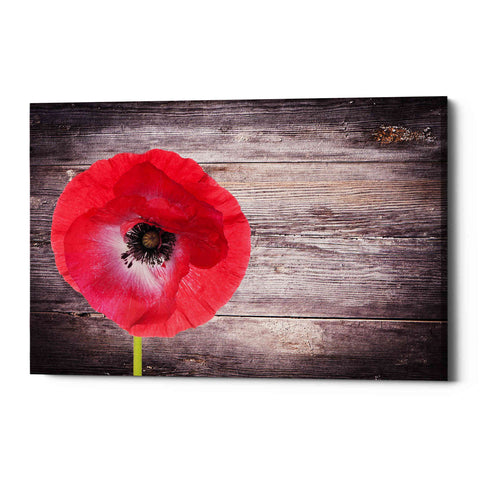 Image of 'Luxury On Rustic' Canvas Wall Art