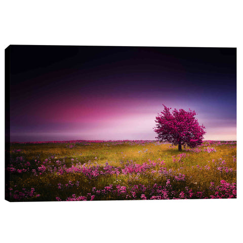 Image of 'Pink Nights' Canvas Wall Art