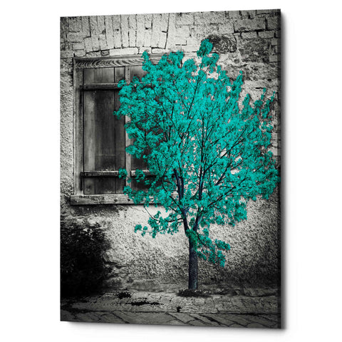 Image of 'Wisdom' Canvas Wall Art