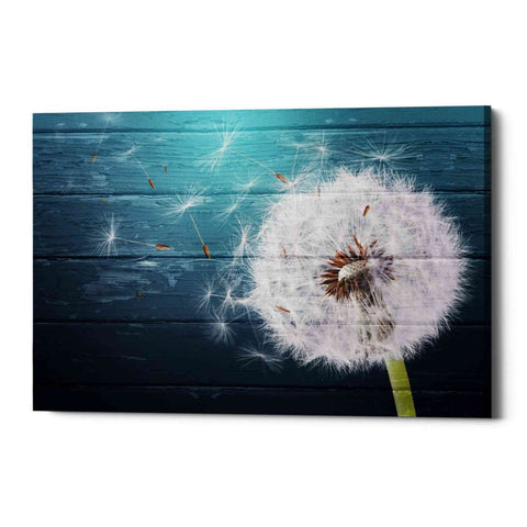 Image of 'Wood Series: Dandi Blue' Canvas Wall Art
