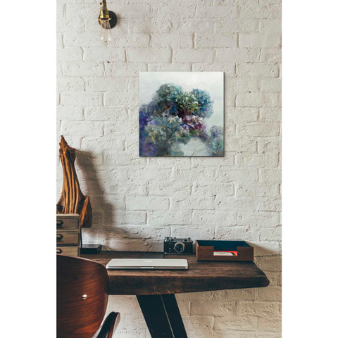 Image of 'Abstract Hydrangea' by Danhui Nai, Canvas Wall Art,12 x 12