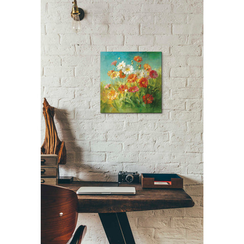 Image of 'Painted Daisies' by Danhui Nai, Canvas Wall Art,12 x 12