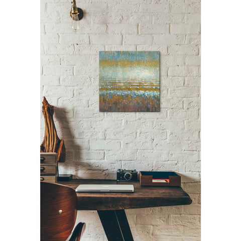 Image of 'Rains Over the Lake Light' by Danhui Nai, Canvas Wall Art,12 x 12