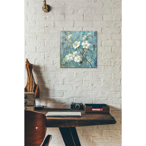 Image of 'Graceful Magnolia II' by Danhui Nai, Canvas Wall Art,12 x 12