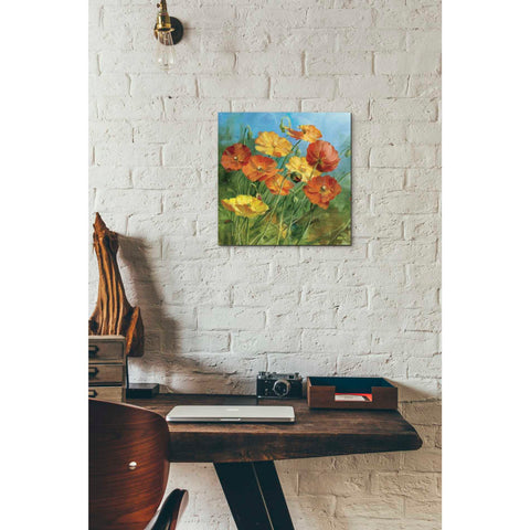 Image of 'Summer Field IV' by Danhui Nai, Canvas Wall Art,12 x 12