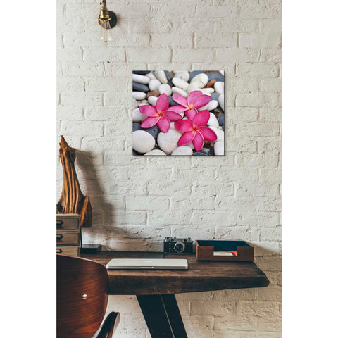 Image of 'Shintai II' Canvas Wall Art,12 x 12