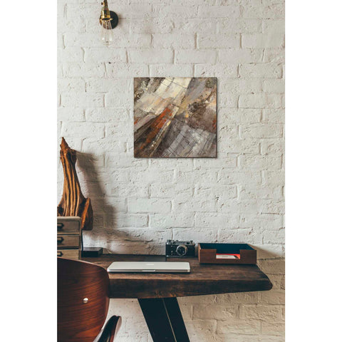 Image of 'Fire and Ice' by Albena Hristova, Canvas Wall Art,12 x 12