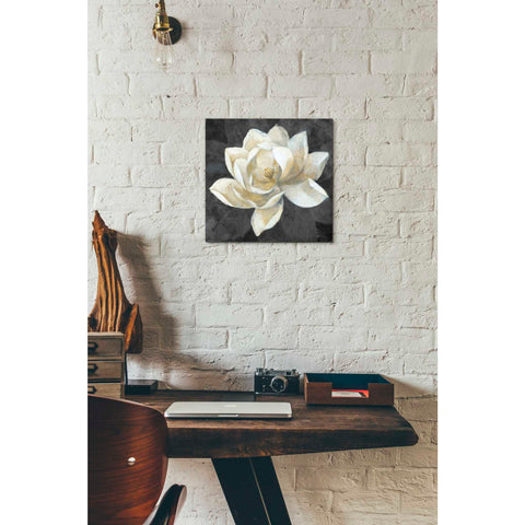 Image of 'Majestic Magnolia Neutral Sq' by Albena Hristova, Canvas Wall Art,12 x 12