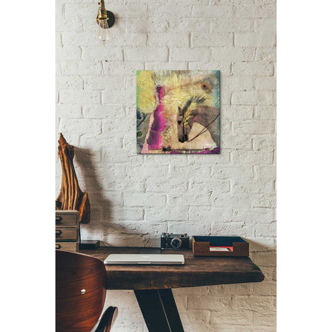 Image of 'White Horse' by Elena Ray Canvas Wall Art,12 x 12