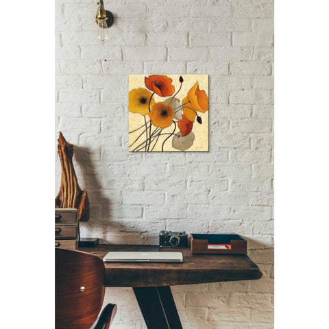 Image of 'Pumpkin Poppies II' by Shirley Novak, Canvas Wall Art,12 x 12