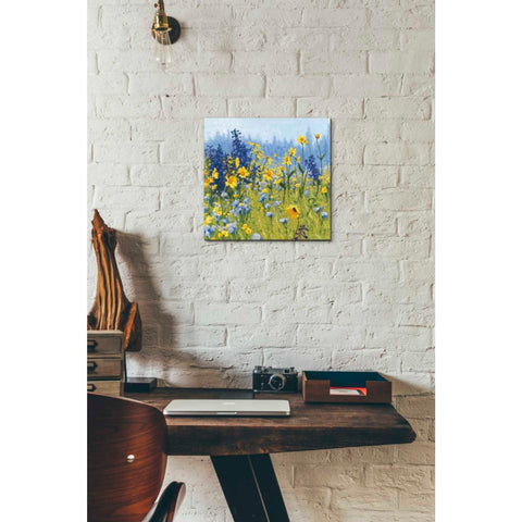 Image of 'Joyful in July III' by Shirley Novak, Canvas Wall Art,12 x 12