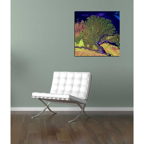 Image of 'Earth As Art: Lena Delta' Canvas Wall Art,12 x 12