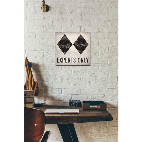 Image of 'Experts Only White' by Ryan Fowler, Canvas Wall Art,12 x 12