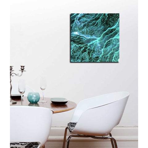 Image of 'Earth As Art: Wadi Branches' Canvas Wall Art,12 x 12