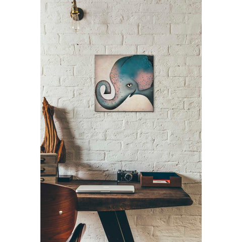 Image of 'Elephant Wow II' by Ryan Fowler, Canvas Wall Art,12 x 12