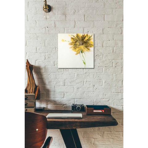 Image of 'Yellow Daisy on White' by Jan Griggs, Giclee Canvas Wall Art