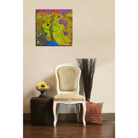 Image of 'Earth As Art: Siberian Ribbons' Canvas Wall Art,12 x 12