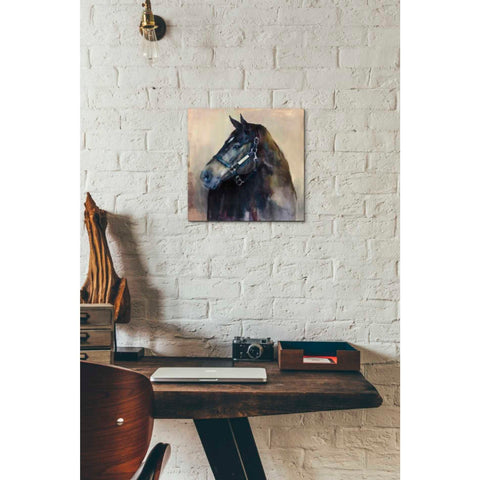 Image of 'Ritzy Light' by Marilyn Hageman, Canvas Wall Art,12 x 12