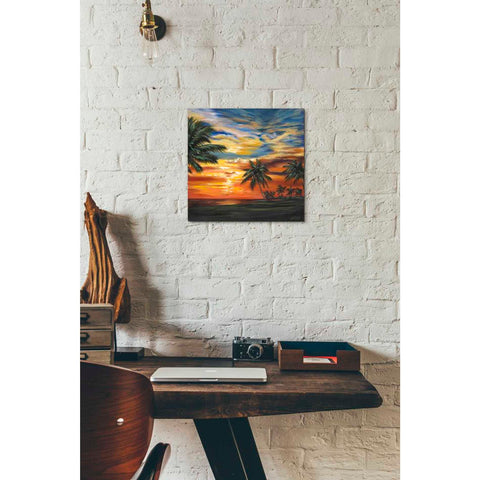 Image of 'Stunning Tropical Sunset II' by Carolee Vitaletti Giclee Canvas Wall Art