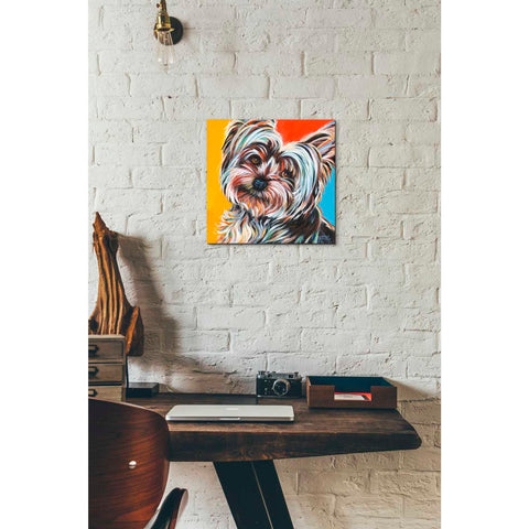 Image of 'Sweet Yorkie II' by Carolee Vitaletti Giclee Canvas Wall Art