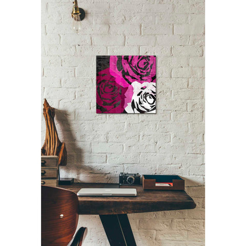 Image of 'Bloomer Squares VI' by James Burghardt Giclee Canvas Wall Art