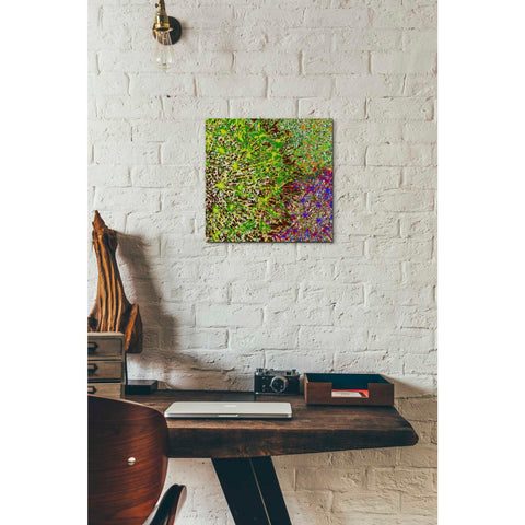 Image of 'Profusion II' by James Burghardt Giclee Canvas Wall Art