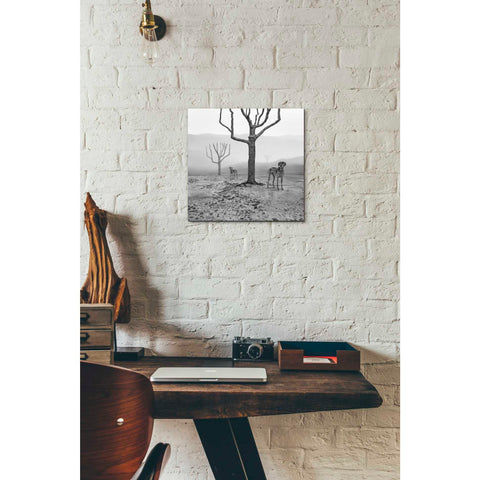 Image of 'Dogs in Fog' by Dariusz Klimczak, Giclee Canvas Wall Art