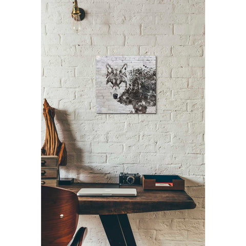 Image of 'Lone Wolf' by Irena Orlov, Canvas Wall Art,12 x 12
