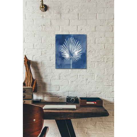 Image of 'Painted Sky Palm Leaf' by Linda Woods, Canvas Wall Art,12 x 12