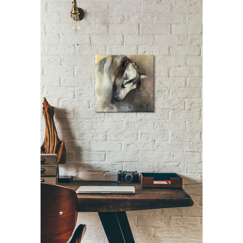 Image of 'Classical Horse' by Marilyn Hageman, Canvas Wall Art,12 x 12