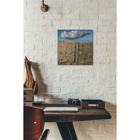 Image of 'Susza' by Dariusz Klimczak, Canvas Wall Art,12 x 12