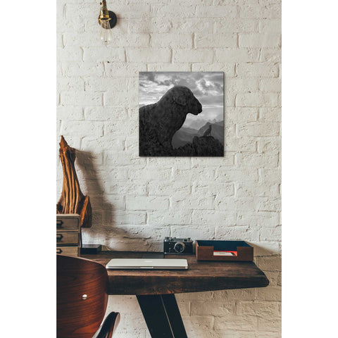 Image of 'Dog Rock' by Dariusz Klimczak, Canvas Wall Art,12 x 12