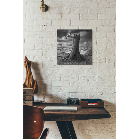 Image of 'Dry' by Dariusz Klimczak, Canvas Wall Art,12 x 12
