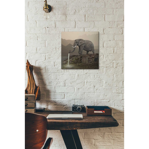 Image of 'Hydrant' by Dariusz Klimczak, Canvas Wall Art,12 x 12