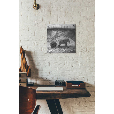 Image of 'Kingandi' by Dariusz Klimczak, Canvas Wall Art,12 x 12