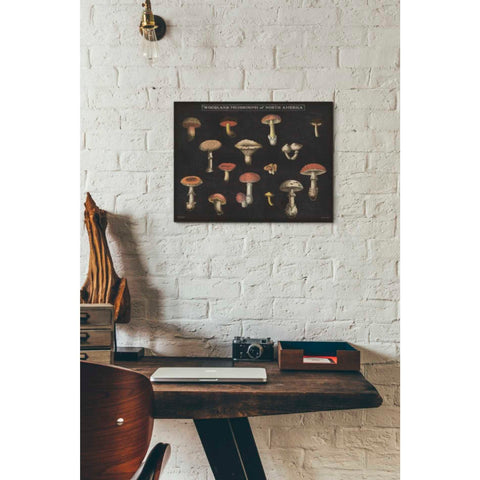 Image of 'Mushroom Chart I' by Wild Apple Portfolio, Canvas Wall Art,12 x 16